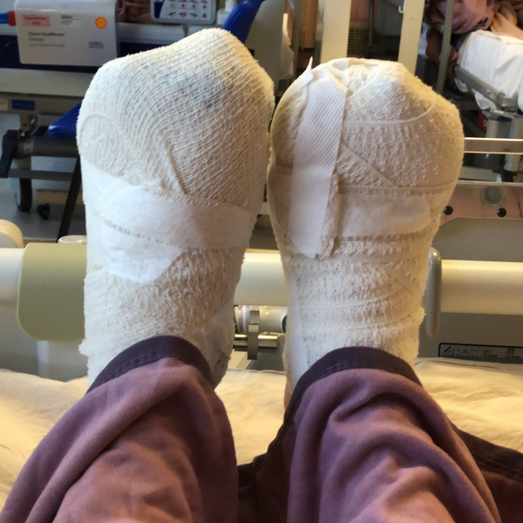 生日後的入廠之旅